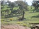 Lot 27 Battery Crossing Rd, Reids Flat NSW 2586