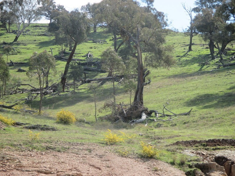 Lot 27 Battery Crossing Rd, Reids Flat NSW 2586