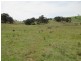 Lot 27 Battery Crossing Rd, Reids Flat NSW 2586