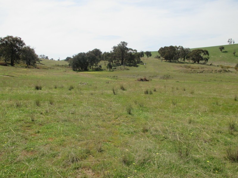 Lot 27 Battery Crossing Rd, Reids Flat NSW 2586