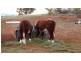 Lot 27 Battery Crossing Rd, Reids Flat NSW 2586