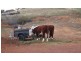 Lot 27 Battery Crossing Rd, Reids Flat NSW 2586