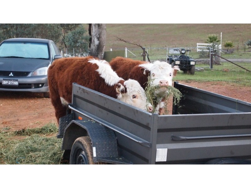 Lot 27 Battery Crossing Rd, Reids Flat NSW 2586
