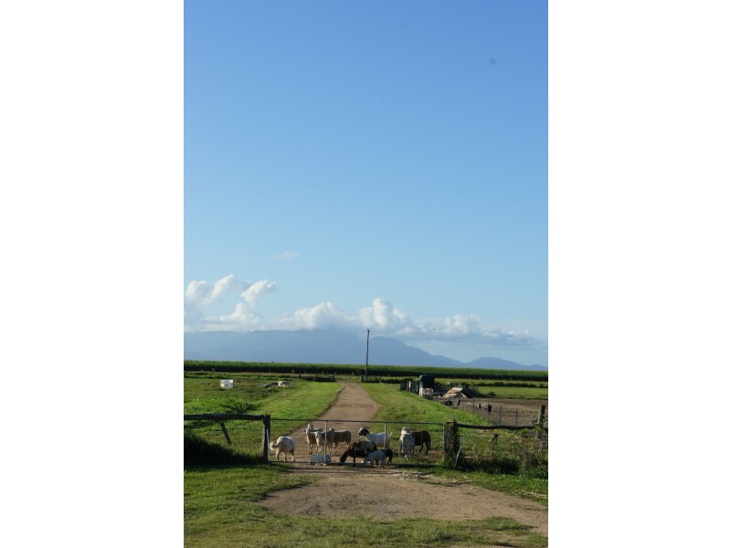 Lot 2/338 Legges Rd, Braemeadows QLD 4850