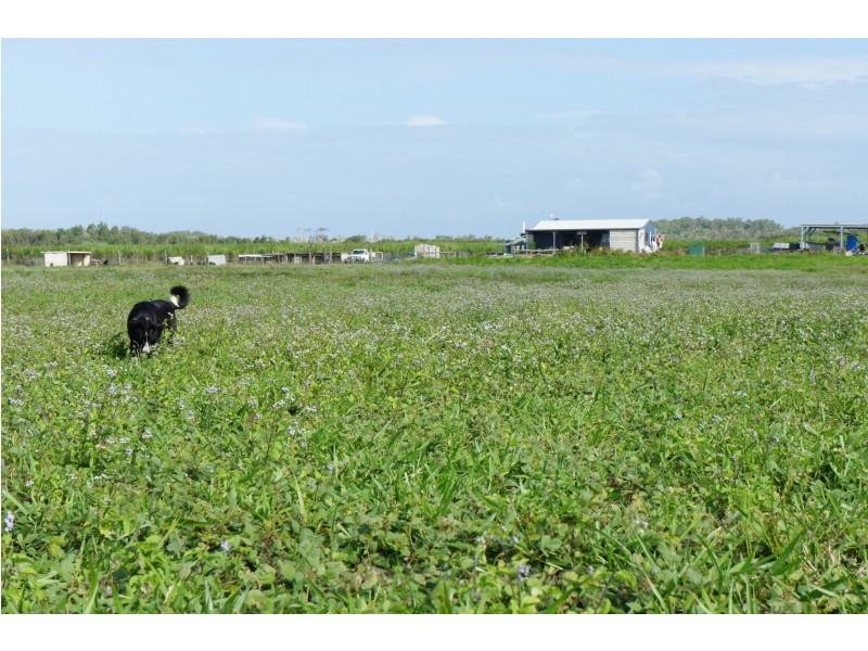 Lot 2/338 Legges Rd, Braemeadows QLD 4850