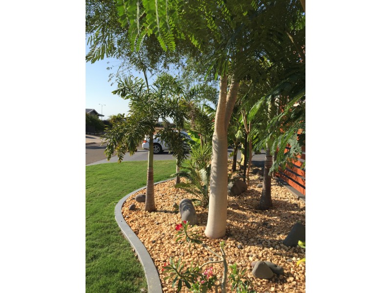 18 Brushtail St, Baynton WA 6714