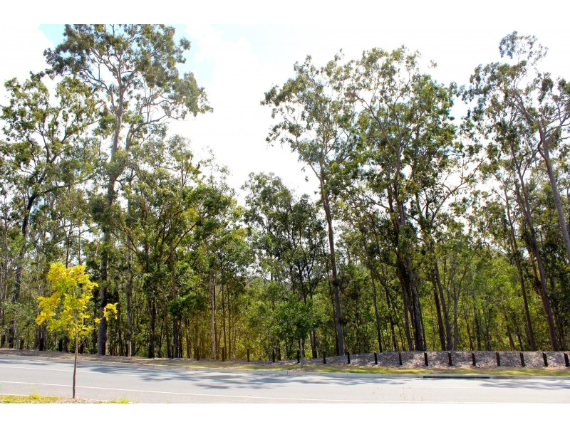 46 Panorama Drive, Reedy Creek QLD 4227