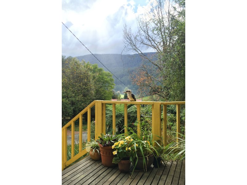 36 Giffords Road, Warburton VIC 3799