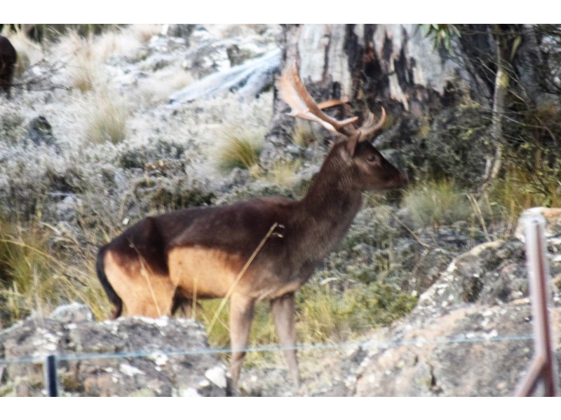 55 Wilburville Road, Wilburville TAS 7030