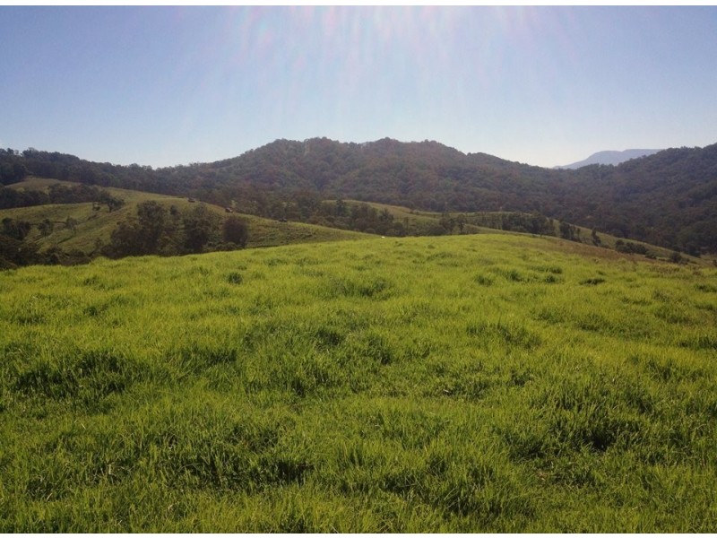 Goorangoola NSW 2330
