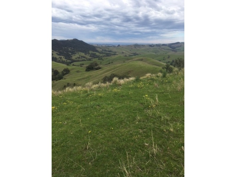 Goorangoola NSW 2330