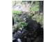 Goorangoola NSW 2330
