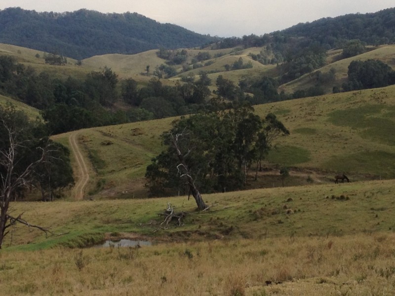 Goorangoola NSW 2330