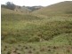 Goorangoola NSW 2330