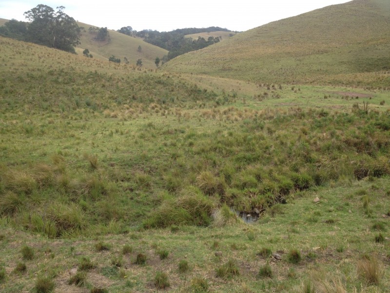 Goorangoola NSW 2330