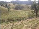 Goorangoola NSW 2330