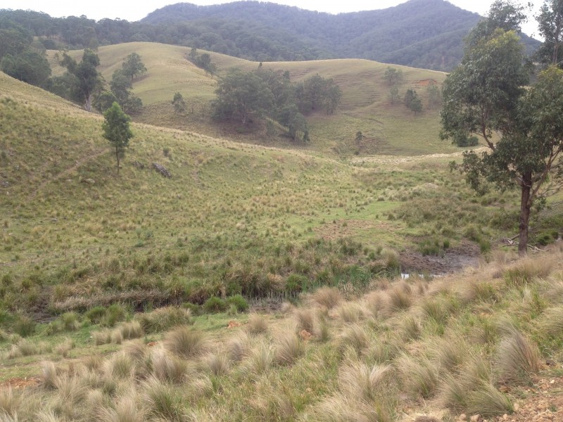 Goorangoola NSW 2330