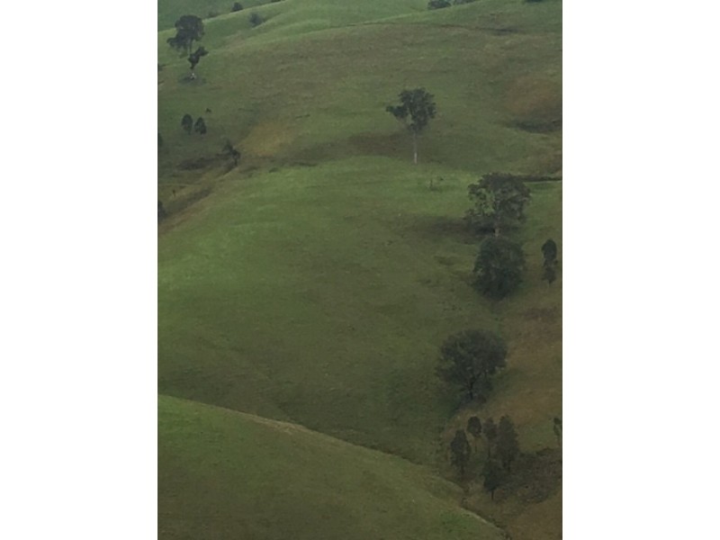Goorangoola NSW 2330