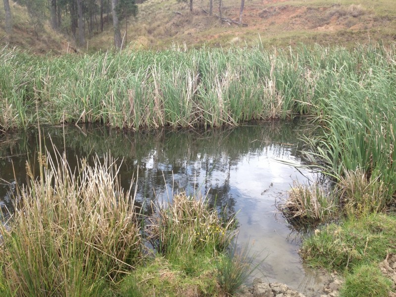 Goorangoola NSW 2330