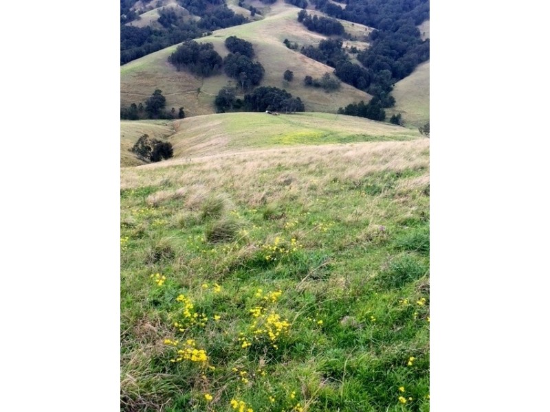 Goorangoola NSW 2330