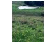 Goorangoola NSW 2330