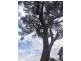 Goorangoola NSW 2330