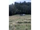 Goorangoola NSW 2330