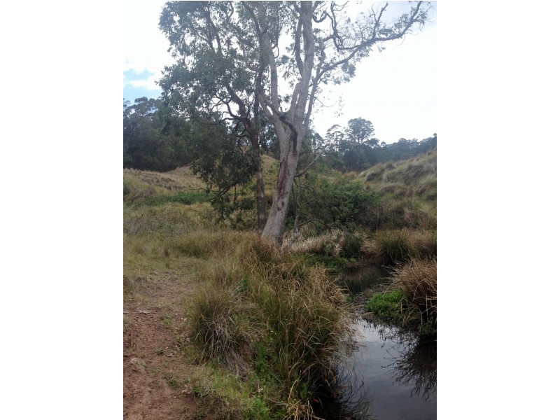 Goorangoola NSW 2330