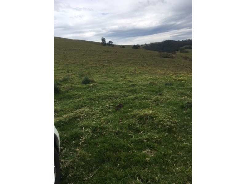 Goorangoola NSW 2330