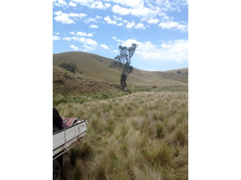 Goorangoola NSW 2330