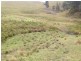Goorangoola NSW 2330