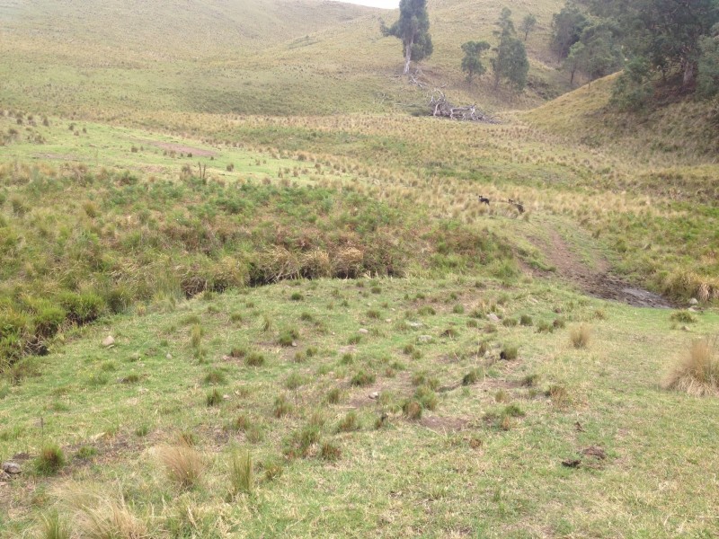 Goorangoola NSW 2330
