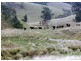 Goorangoola NSW 2330