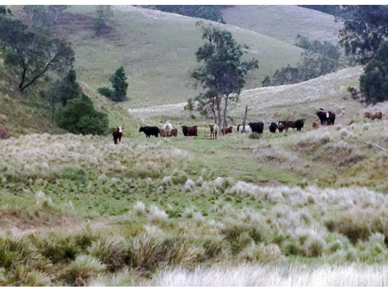 Goorangoola NSW 2330