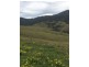Goorangoola NSW 2330