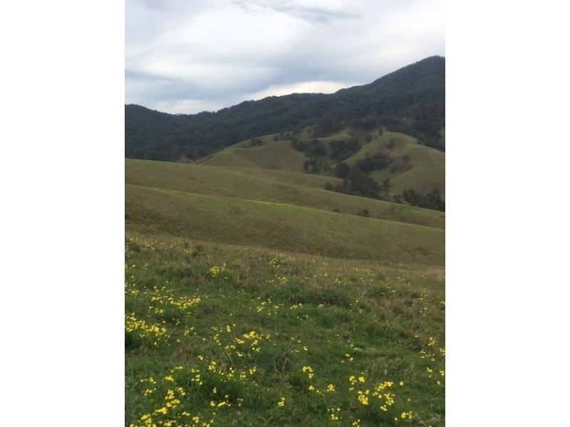 Goorangoola NSW 2330
