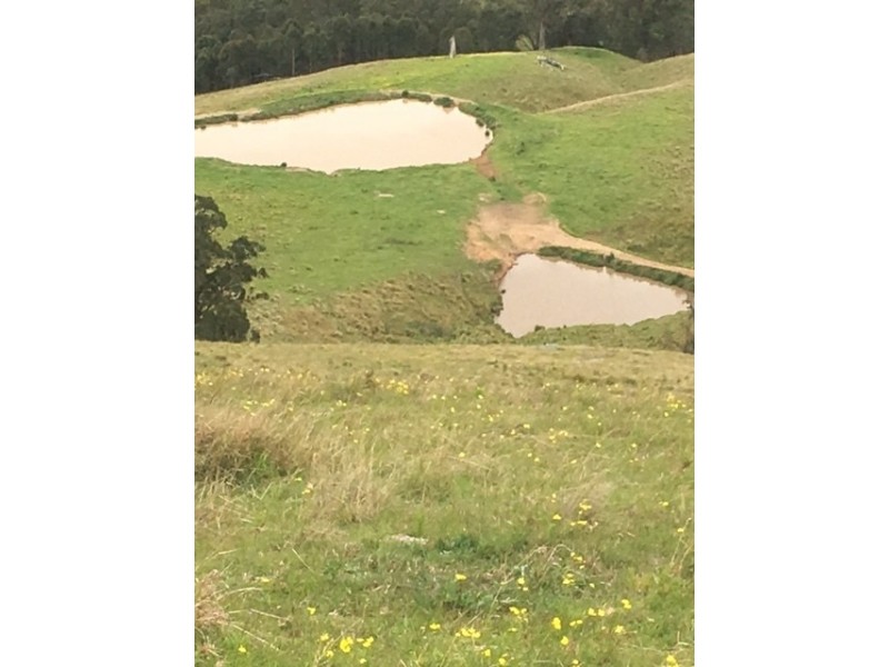 Goorangoola NSW 2330
