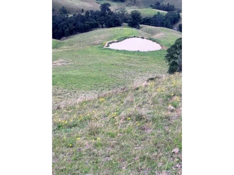 Goorangoola NSW 2330