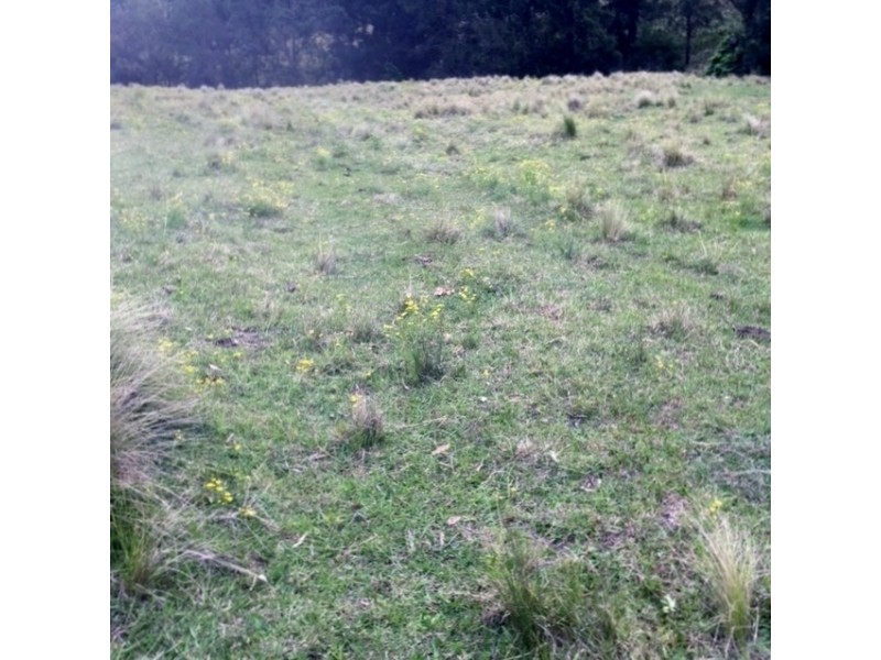 Goorangoola NSW 2330