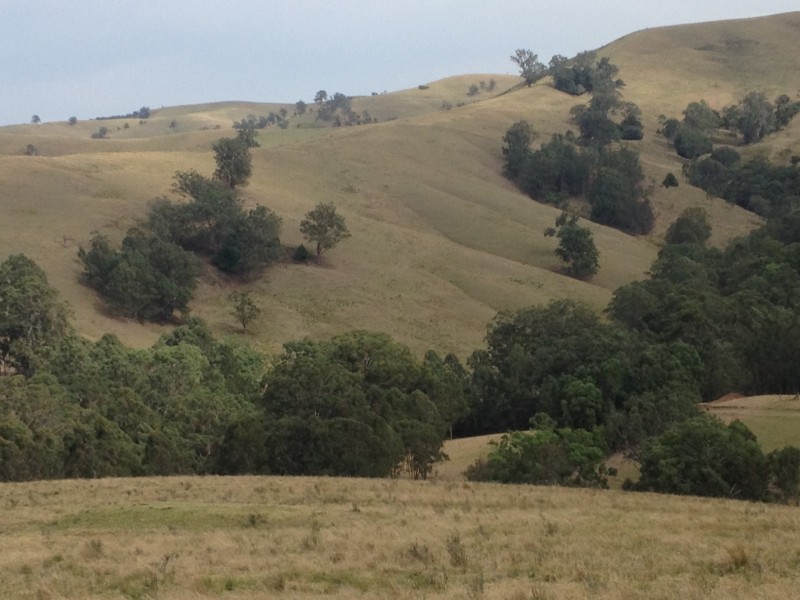 Goorangoola NSW 2330