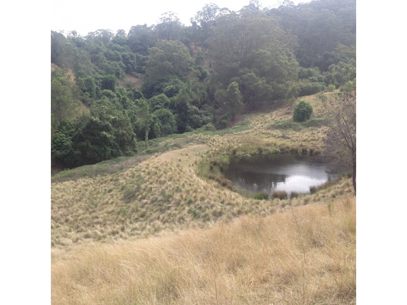 Goorangoola NSW 2330