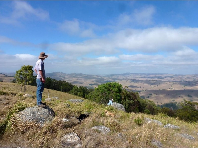 Goorangoola NSW 2330
