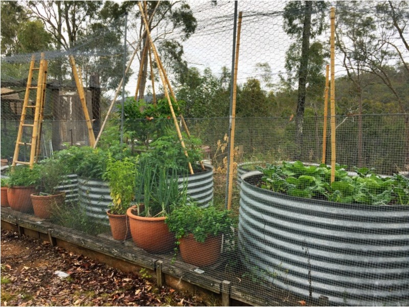 505 Sim Jue Creek Road, Dundas QLD 4306