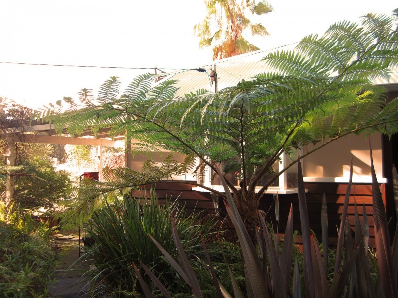 81 Montgomery Street, Allanson WA 6225