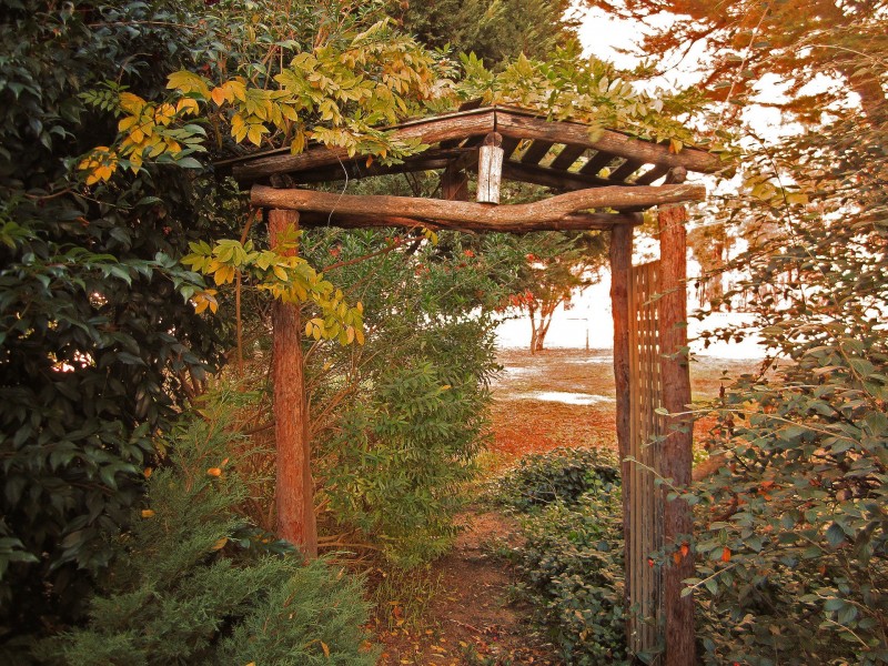 81 Montgomery Street, Allanson WA 6225