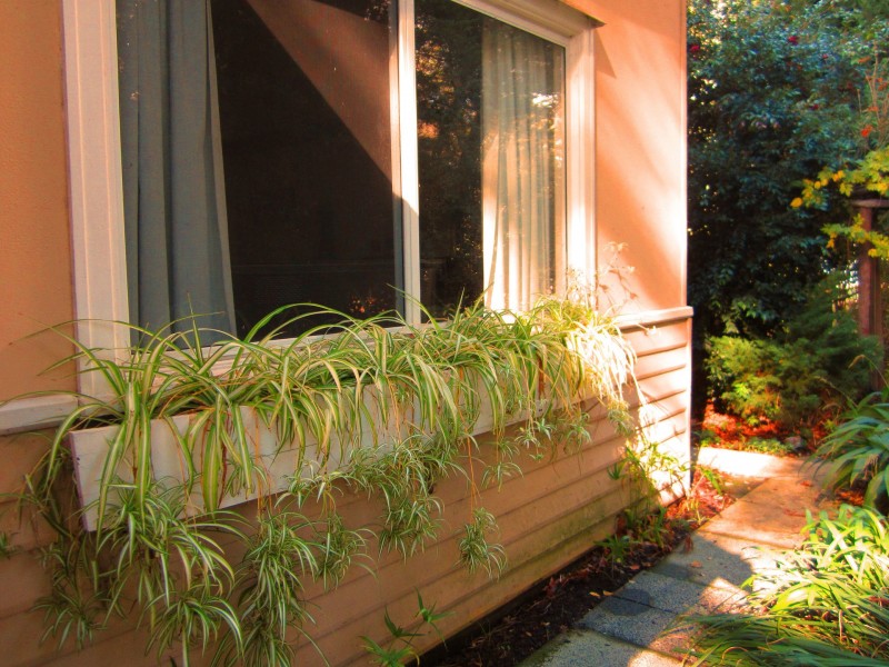 81 Montgomery Street, Allanson WA 6225