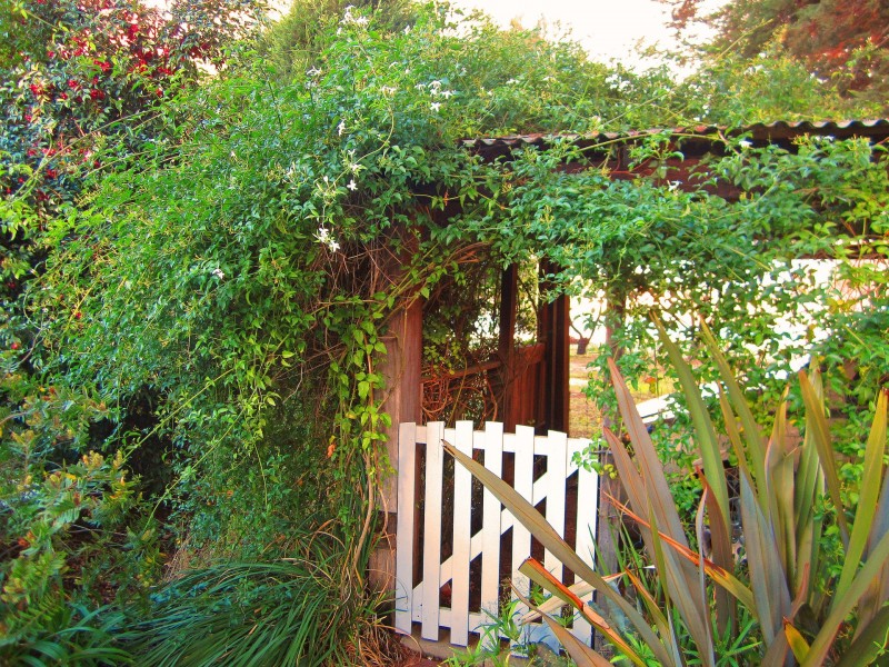 81 Montgomery Street, Allanson WA 6225