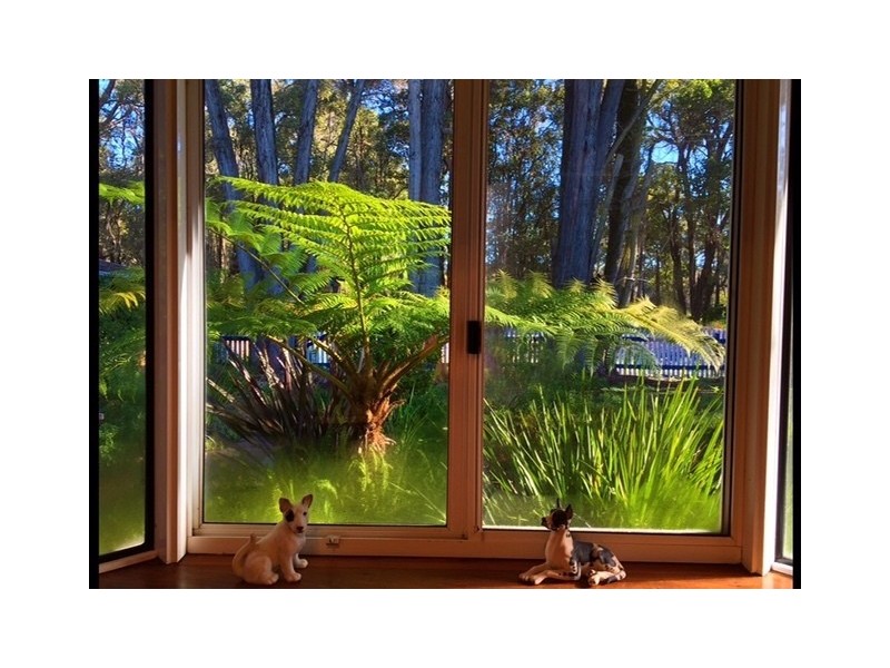 81 Montgomery Street, Allanson WA 6225