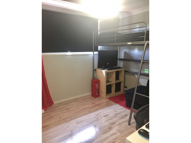 83 Carolyn Street, Adamstown Heights NSW 2289