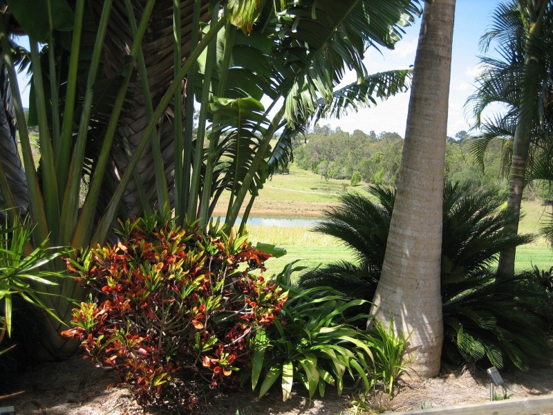 8 Old Coach Lane, Canina QLD 4570